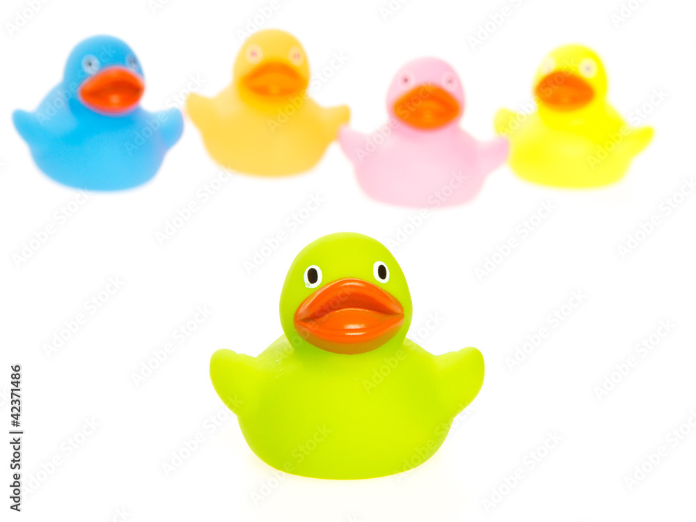 Rubber ducks isolated