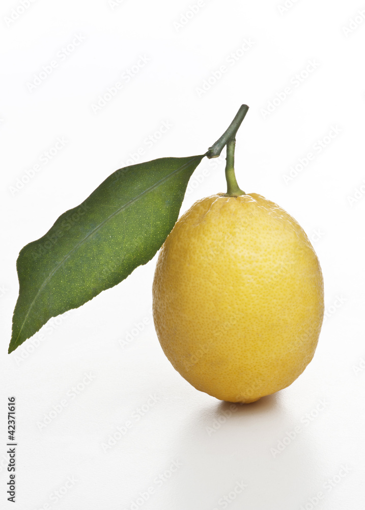 lemon with leaf