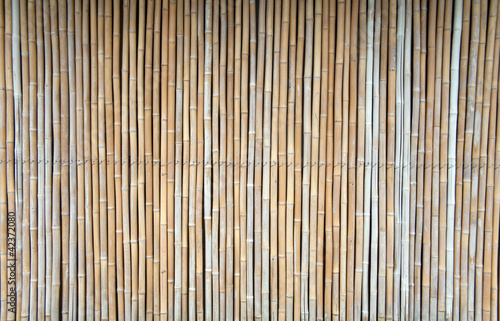 Japanese bamboo texture
