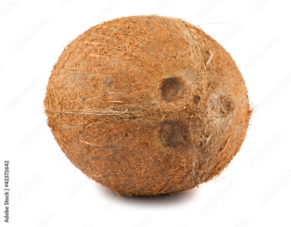 Tropical coconut Tropical coconut