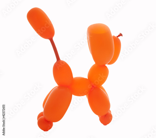 balloon dog