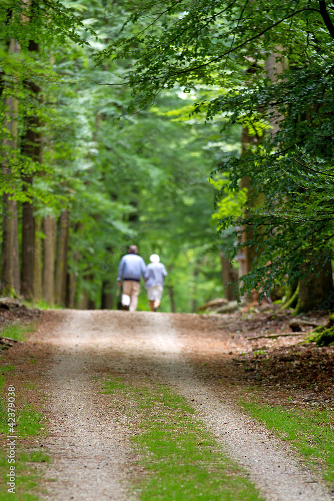 Elderly couple walking in forest