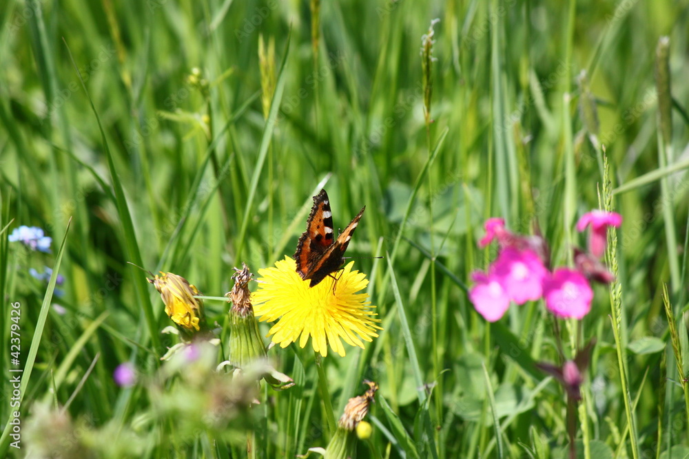 Im Sommergarten Im Sommergarten