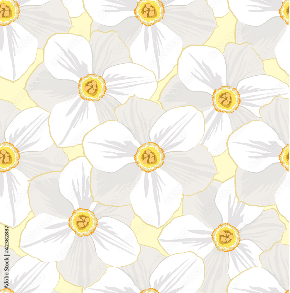 seamless pattern with flowers white daffodils