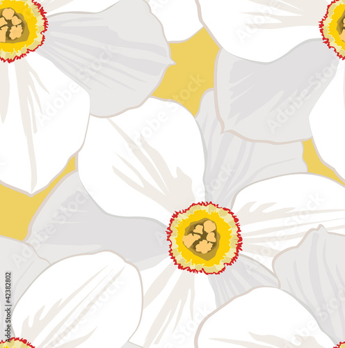 seamless pattern with flowers daffodils photo