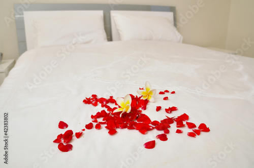 Rosenblätter liegen auf einem Doppelbett