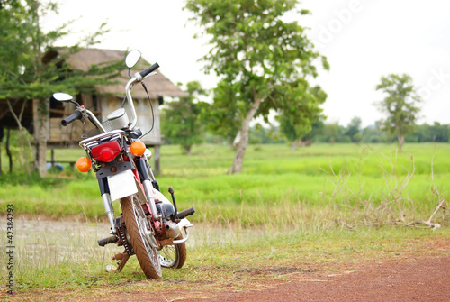 Motorcycle in a cornfield