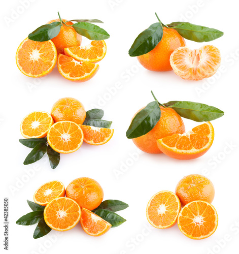 collection of 6 mandarin images