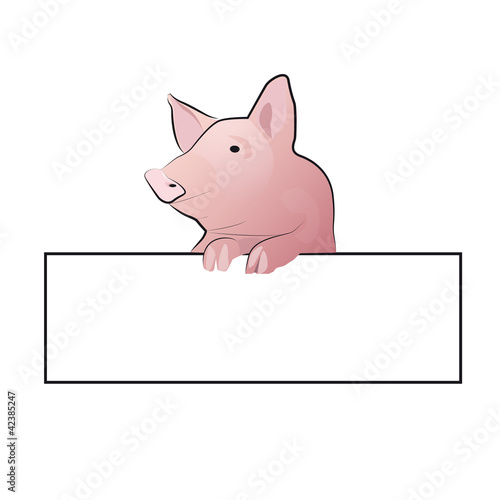 cochon