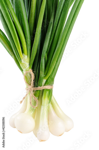 Bunch of green onion isolated on white background