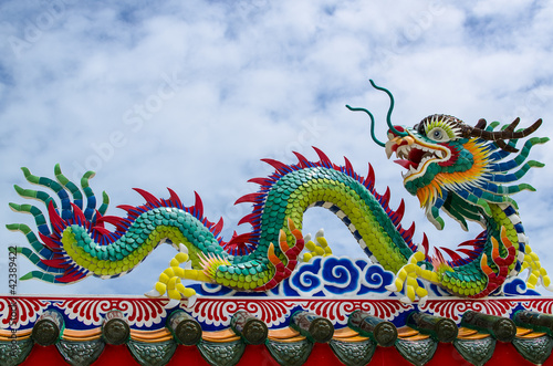 Chinese dragon © tolotola