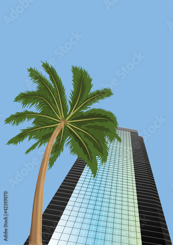 Skyscraper  and  palm  tree © zhelunovych