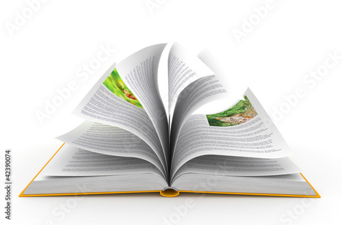 Open book over white background