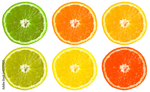 Six multicolored sliced oranges  isolated on white