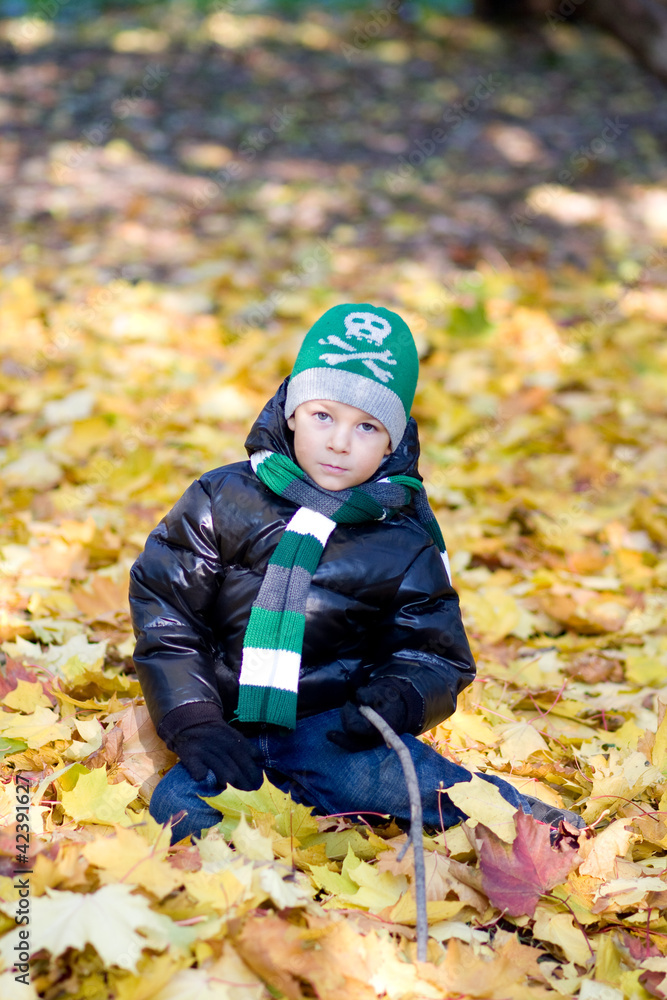 A little boy in an autumn garden A little boy in an autumn garden