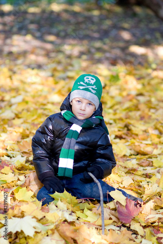 A little boy in an autumn garden