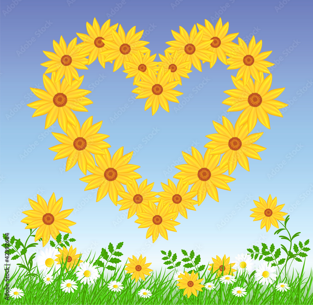 Fototapeta premium Daisy heart