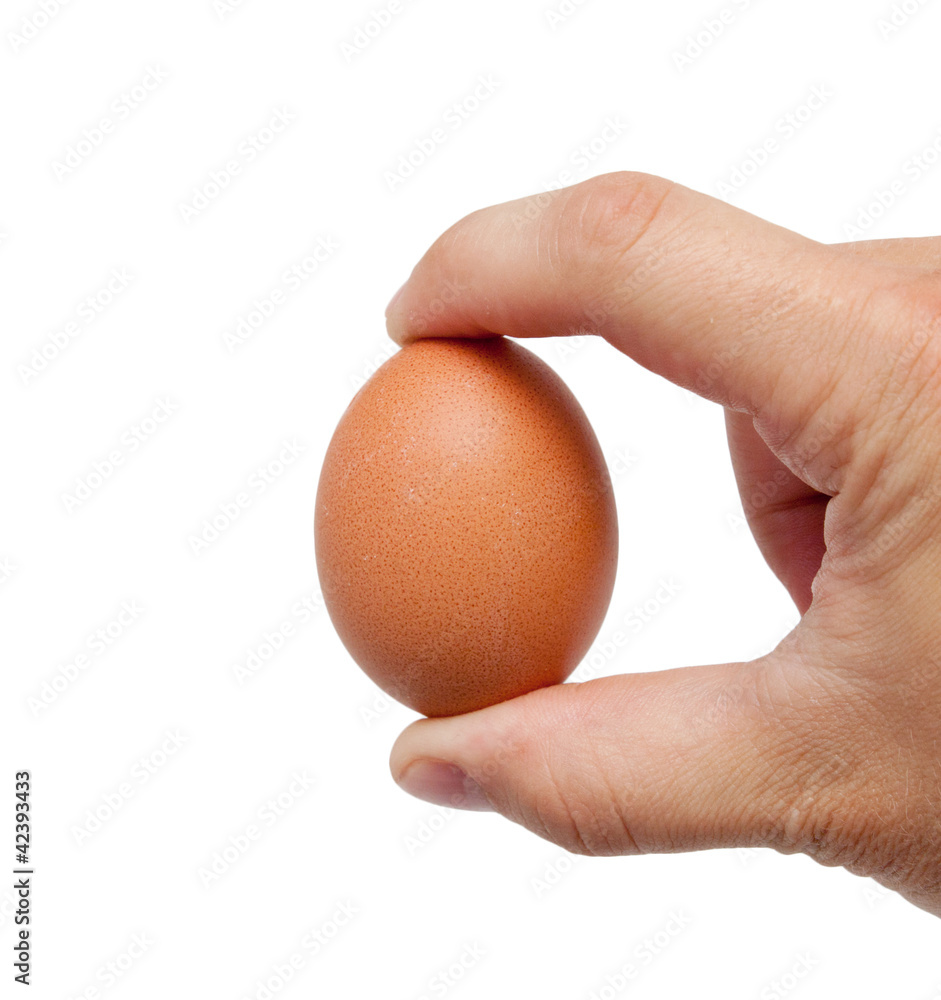 well shaped men's hand with an egg isolated over white well shaped men's hand with an egg isolated over white