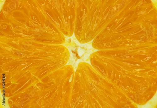 Fresh juicy orange