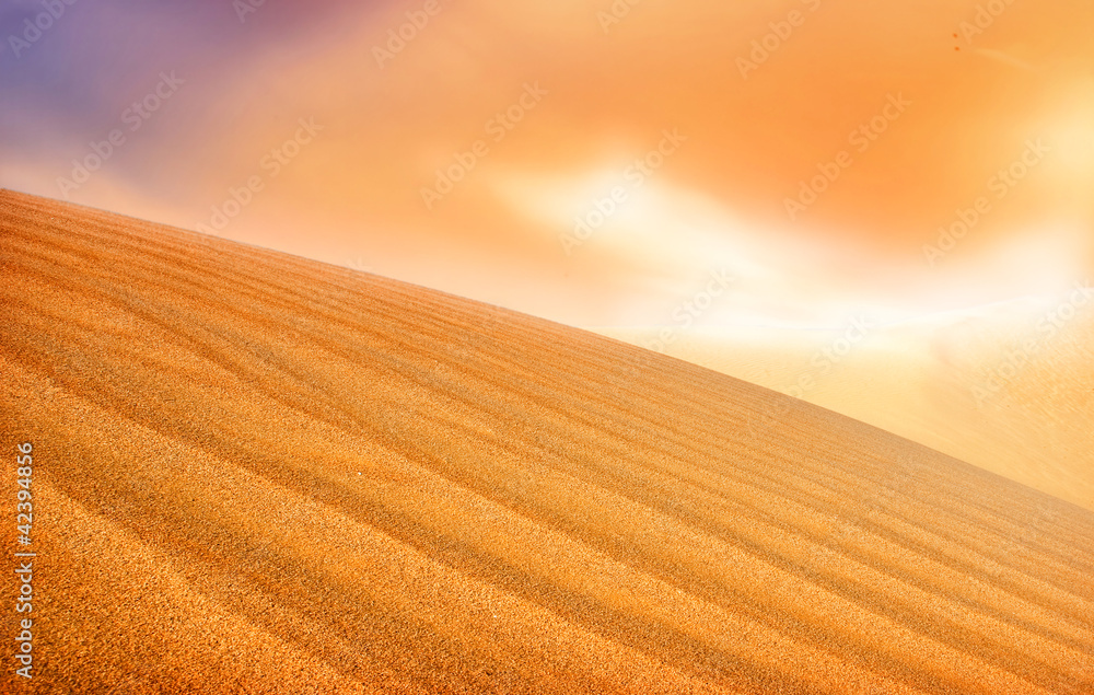 Fototapeta premium desert sunset