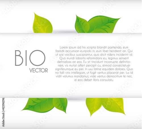 blank banner