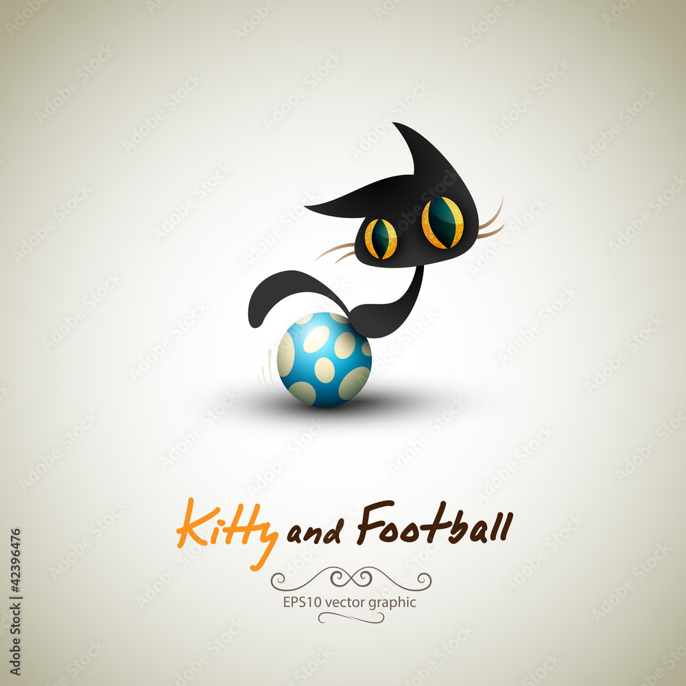 Little Cat playing with Football Little Cat playing with Football
