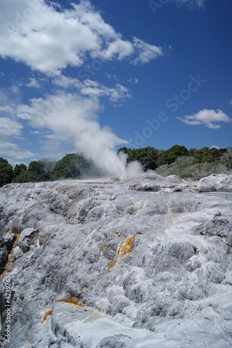 geyser photo