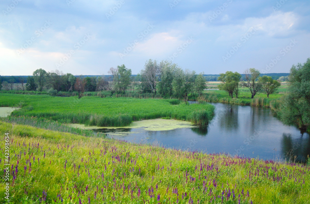 river, land with trees and meadow