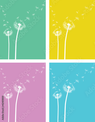 Pusteblume Löwenzahn