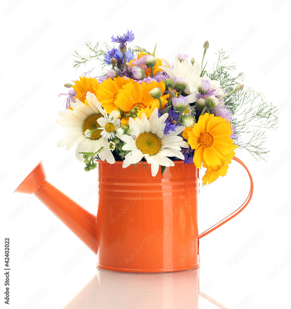 beautiful bouquet of bright wildflowers in watering can beautiful bouquet of bright wildflowers in watering can