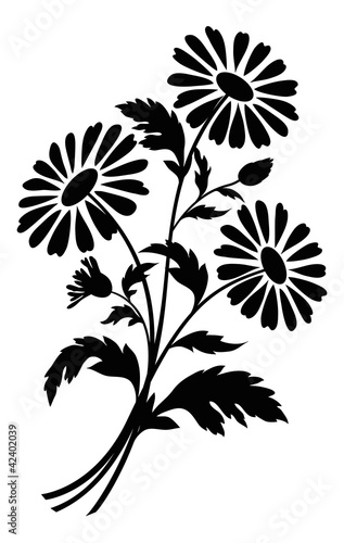 Chamomile flowers, silhouettes