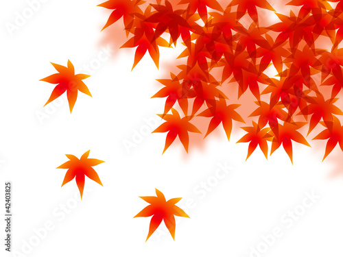 紅葉横