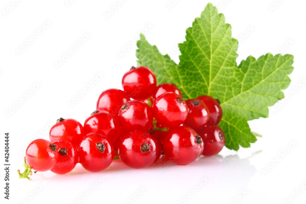 red currant with green leaf
