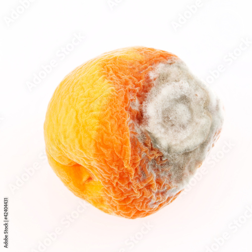 mould on peach
