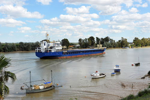 Картината върху платно Barco navegando por el río Guadalquivir a su paso por Coria del Río, provincia d