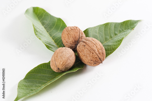 walnut nuts