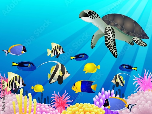 Sea Life background