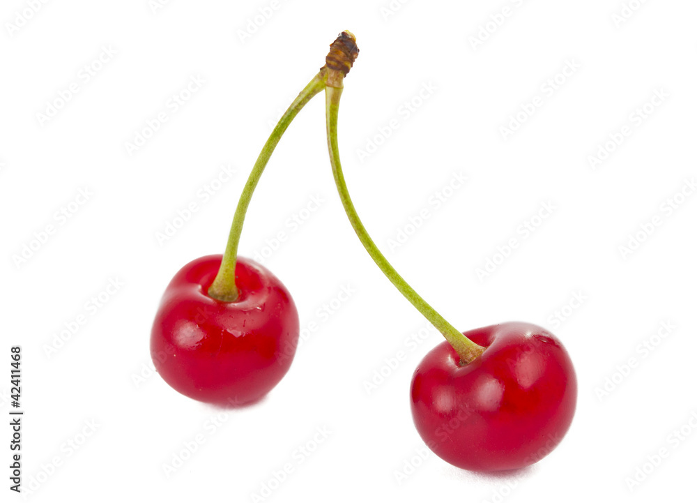 cherries isolated cherries isolated