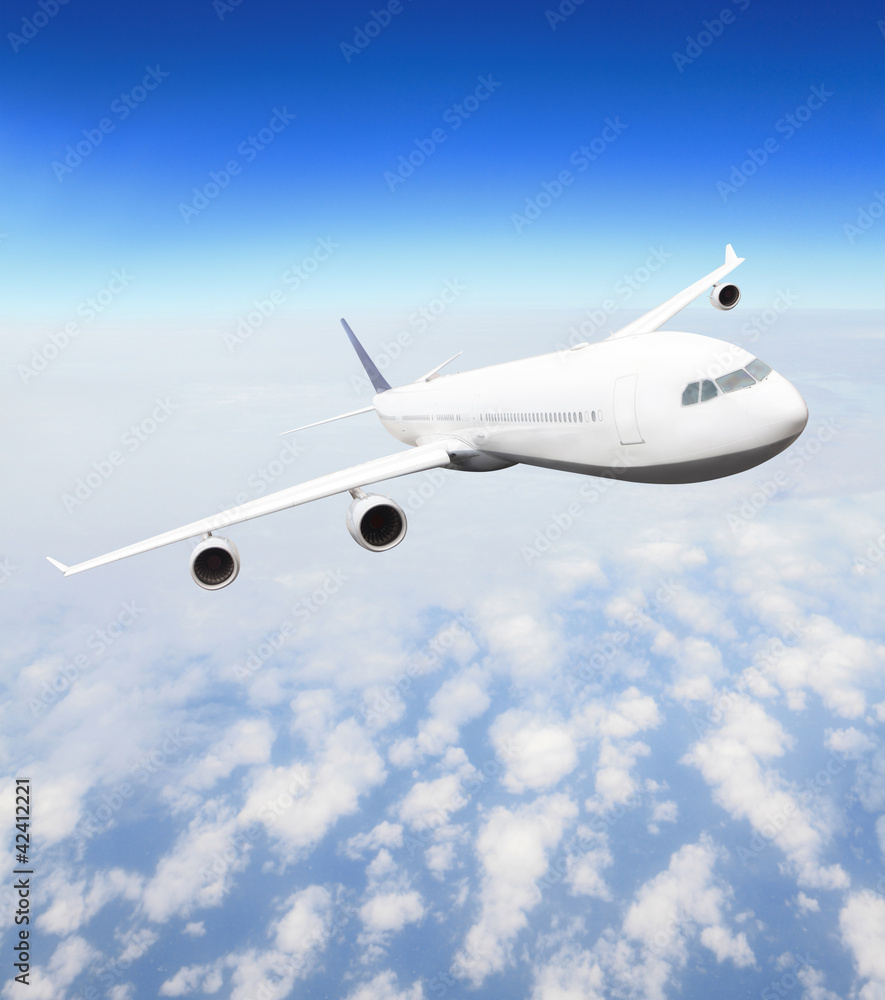 Obraz premium Airplane at fly