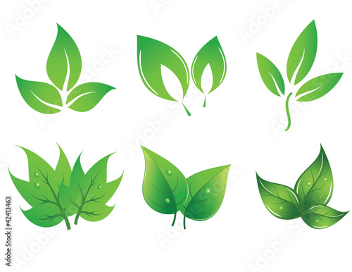 set of green vector leaves
