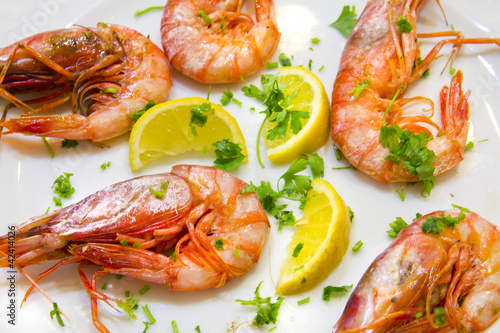 Shrimps with lemon slices and parsley on white plate