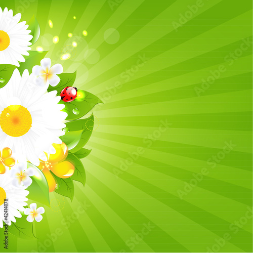 Fototapeta Naklejka Na Ścianę i Meble -  Bunch Of Flowers With Grass And Sunburst