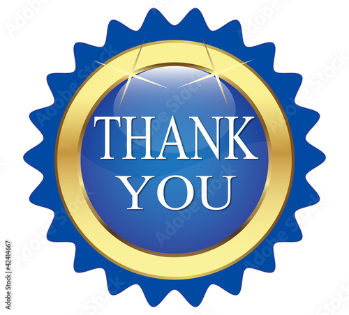 blue button that says "Thanks"