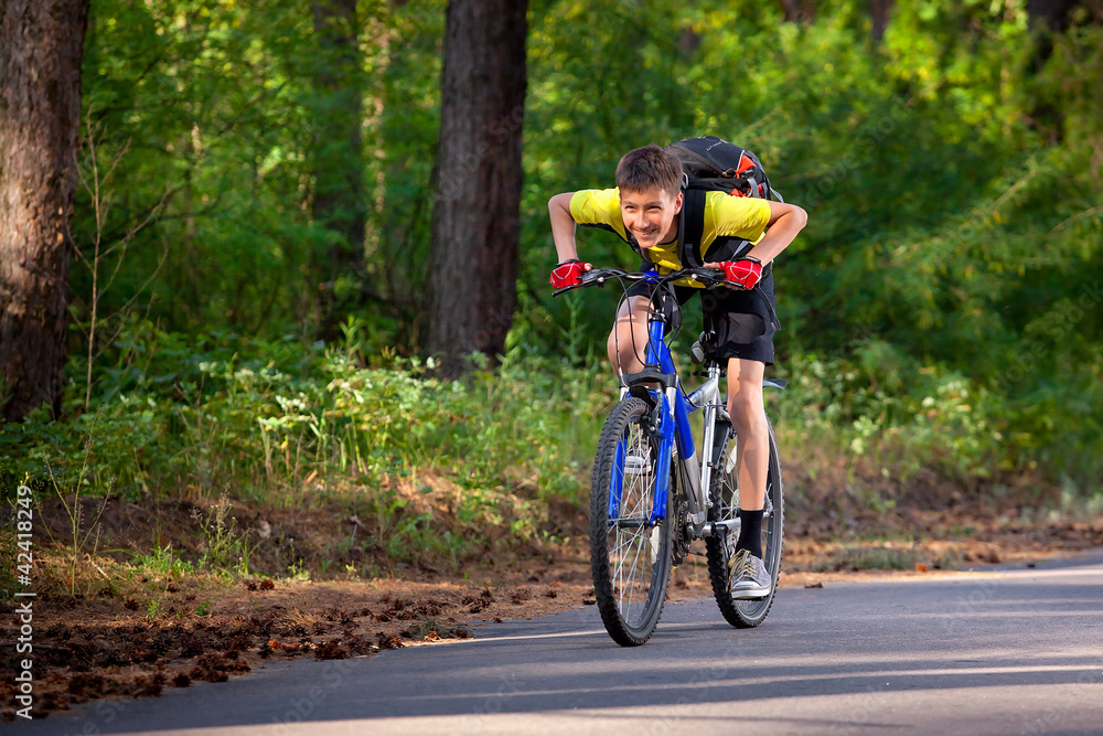 Naklejka premium A teenager on a bicycle traveling in the forest