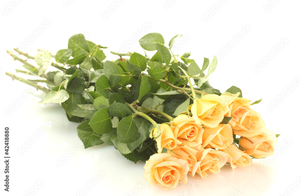beautiful bouquet of roses isolated on white beautiful bouquet of roses isolated on white