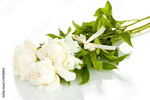 beautiful peonies with bow isolated on white