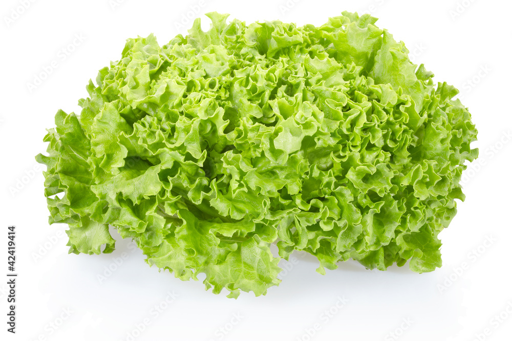 Fresh green salad isolated, clipping path included Fresh green salad isolated, clipping path included
