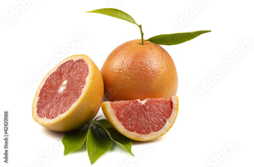 still life of citrus