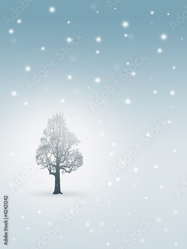 冬の木立 © chris