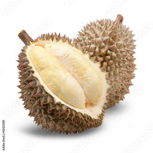 Durian photo